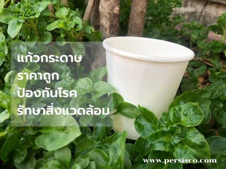 แก้วกระดาษราคาถูก เป็นมิตรต่อสิ่งแวดล้อม